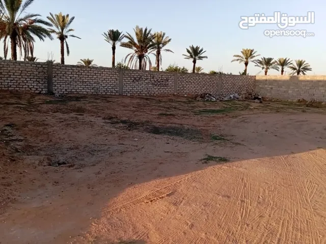 Residential Land for Sale in Tripoli Wadi Al-Rabi