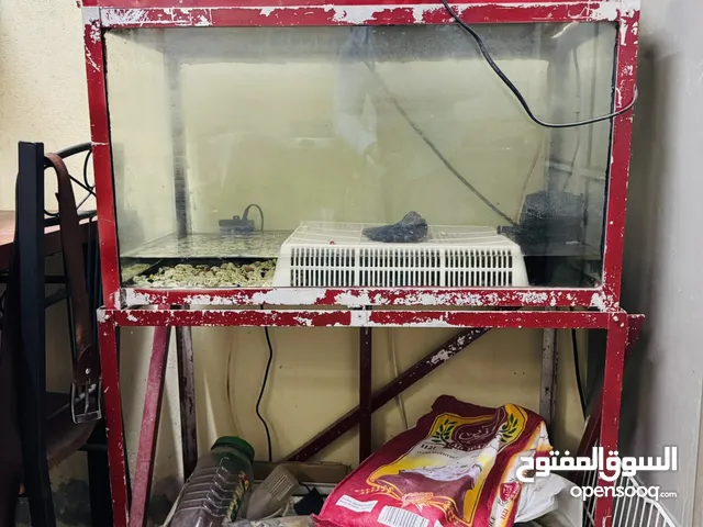 Fish tank for sale