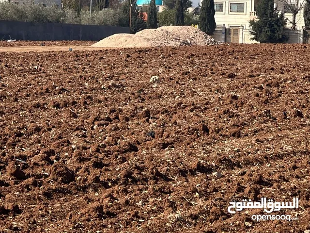 Residential Land for Sale in Amman Al Yadudah