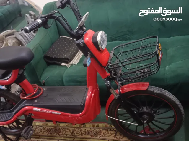 Electric cycle