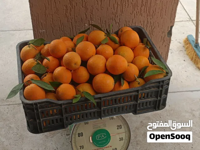 برتقال بوصرة