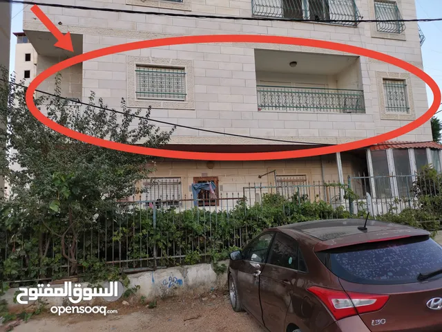 شقة مفروشة للايجار - لطالبات جامعة فقط