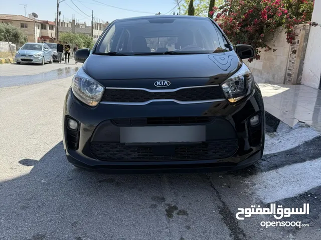 كيا مورننج 2017 وراد الشركه