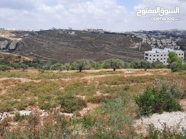 Mixed Use Land for Sale in Ramallah and Al-Bireh Surda
