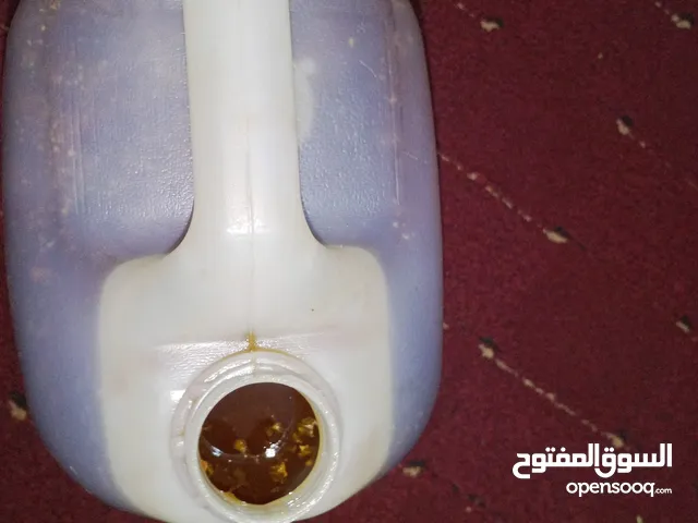 عسل بلدي درجة أولى مضمون