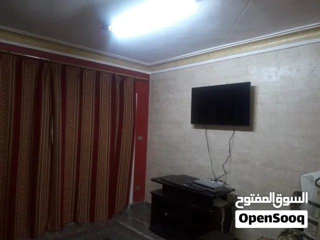 125 m2 2 Bedrooms Apartments for Rent in Alexandria Miami