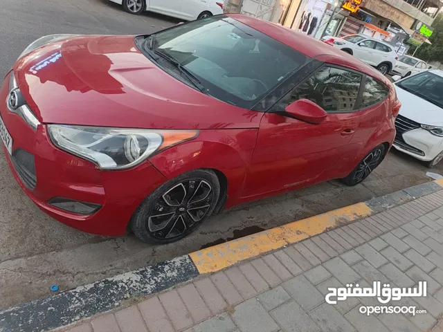 فولستر 13 السعر75