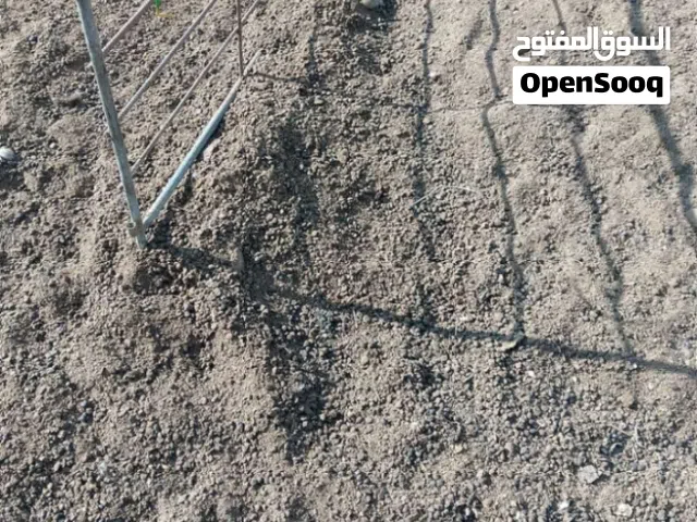 زبل غنم نضيف ناعم للبيع