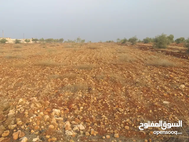 ارض لابيع طابو سعر متر ع دولار 25 دولار