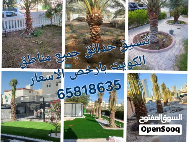 اهوزي لنقل وشلع النخيل وقص الاشجار