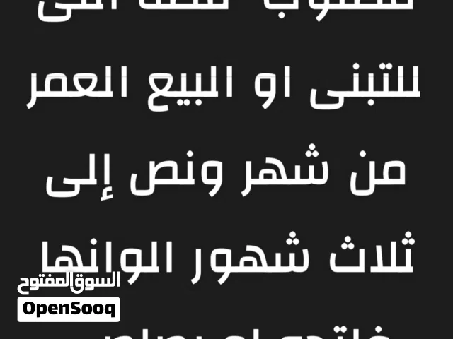 اكثر سعر بدفعه 10