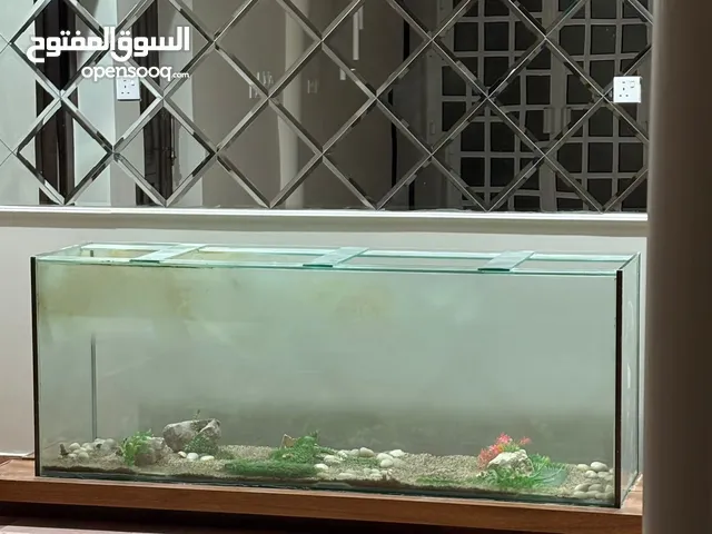 حوض سمك كبير للبيع