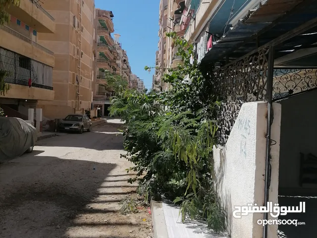 2 Bedrooms Chalet for Rent in Alexandria Nakheel