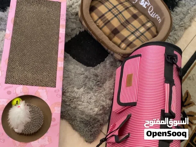 العاب وشطنه للبسه مع البيت تبعها