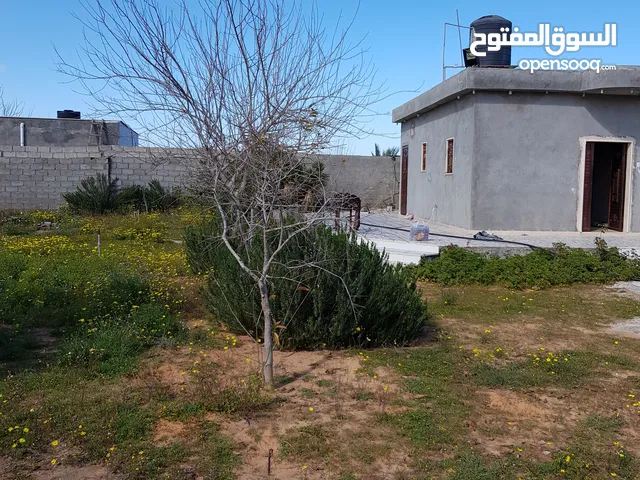 Residential Land for Sale in Tripoli Al-Baesh