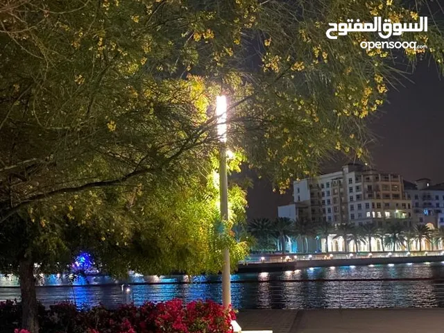 قطعة أرض 800 للبيع بصك او حوالة النشيع خلة بربوش