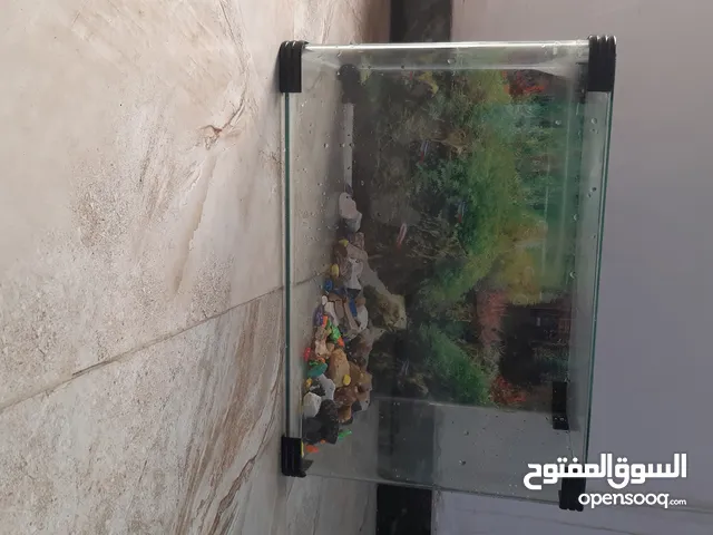 حوض سمك زينة