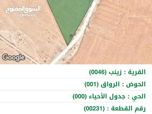 قطعتين منفصلتين للبيع في الجيزة - قرية الباسلية