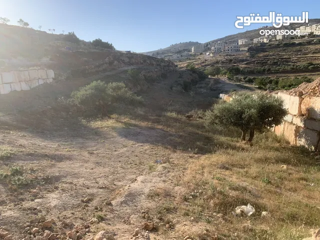 ارض للبيع في قرية ديرجرير