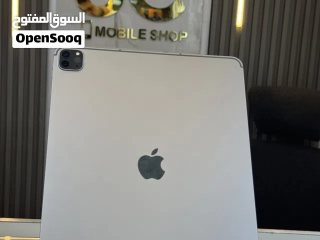 iPad M2 (256G)