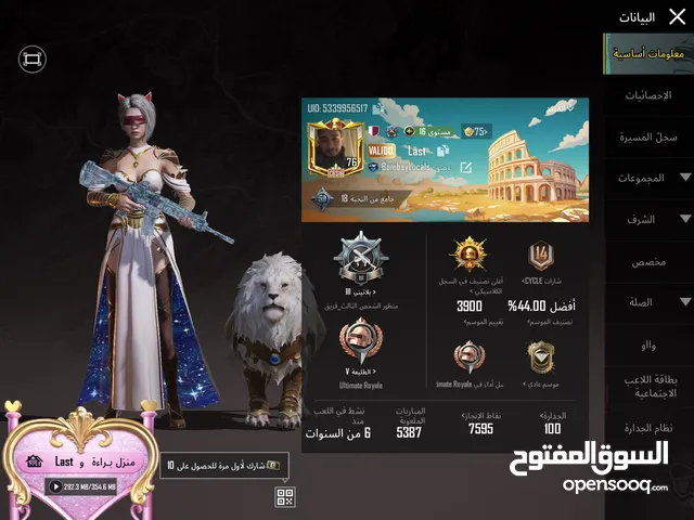 Pubg Accounts and Characters for Sale in Amman