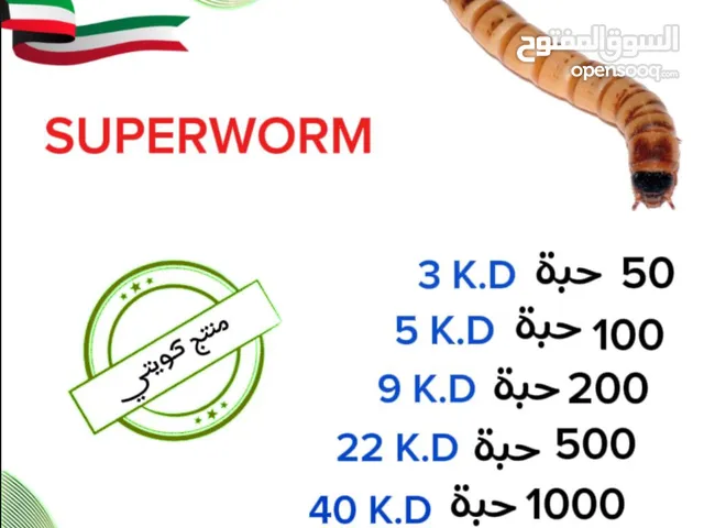 قبابي عتل حي