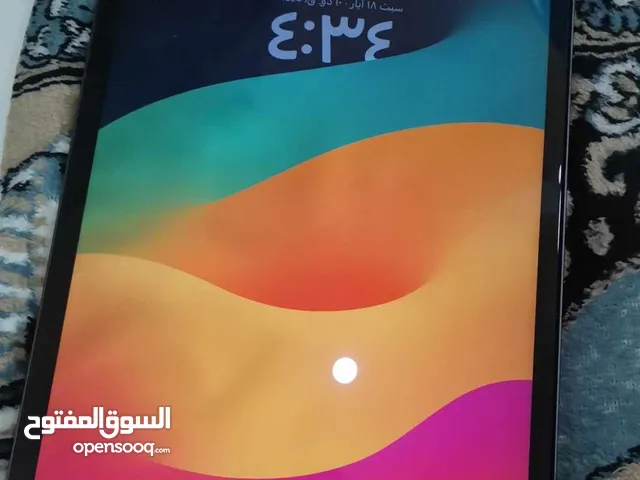 Apple iPad Pro 256 GB in Amman