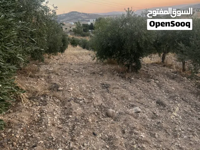 قطعة ارض للبيع في جرش من المالك