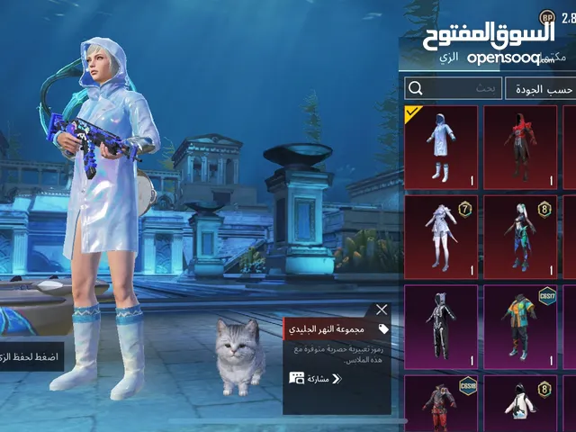 Pubg Accounts and Characters for Sale in Al Batinah