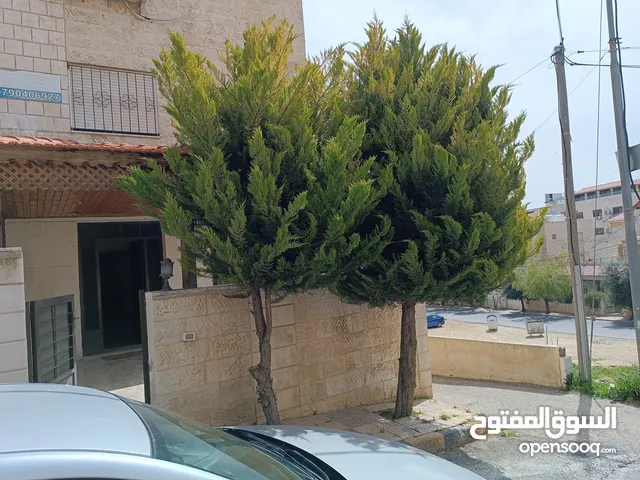 شقة ارضية مفروشة في الجبيهة 9 بالقرب من الجامعه الاردنيه