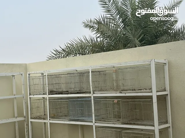 أقفاص مع الاستاند