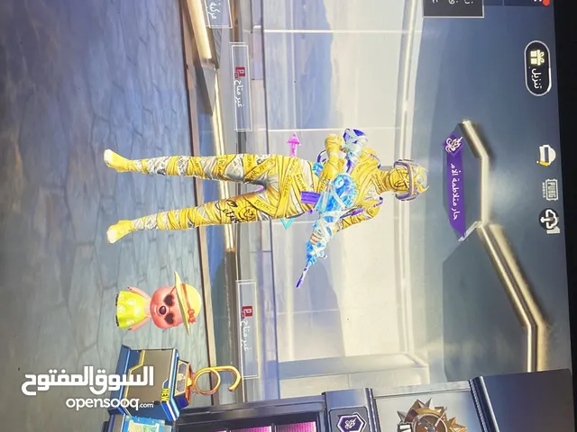 Pubg Accounts and Characters for Sale in Irbid