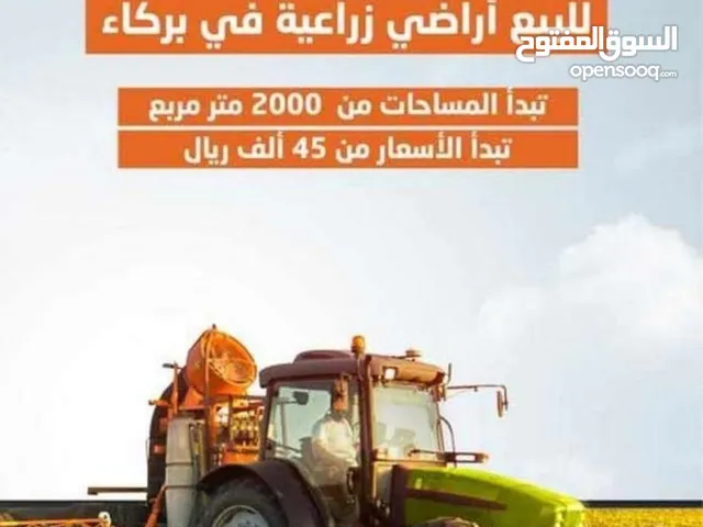 Farm Land for Sale in Muscat Al Maabilah