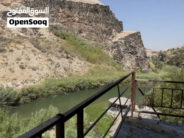 مزرعة على النهر للضمان او للبيع في ام قيس
