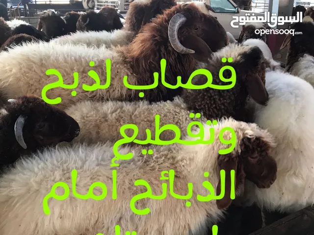 قصاب متنقل تحت الطلب