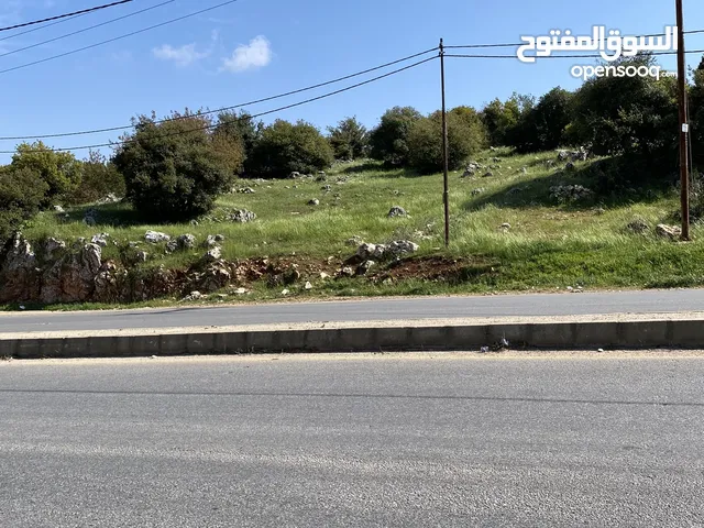 Commercial Land for Sale in Ajloun I'bbeen