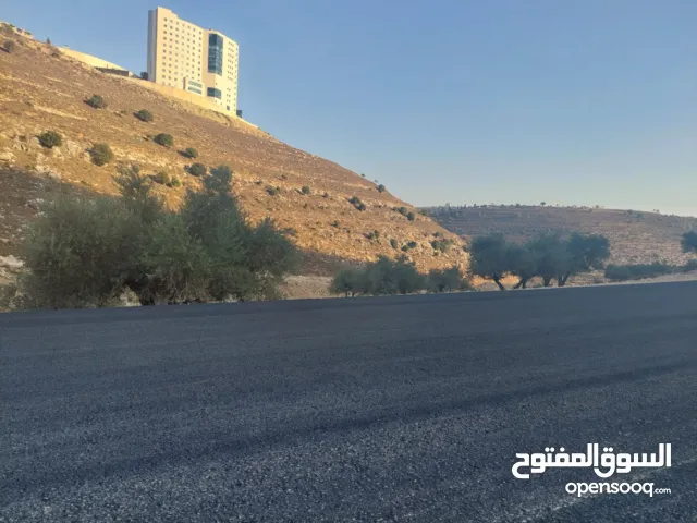 Residential Land for Sale in Ramallah and Al-Bireh Dahiat Al Rayhan