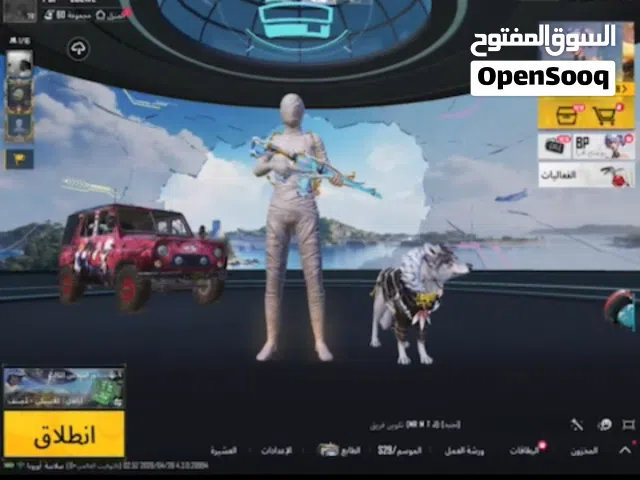 Pubg Accounts and Characters for Sale in Amman