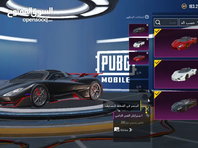 Pubg Accounts and Characters for Sale in Irbid