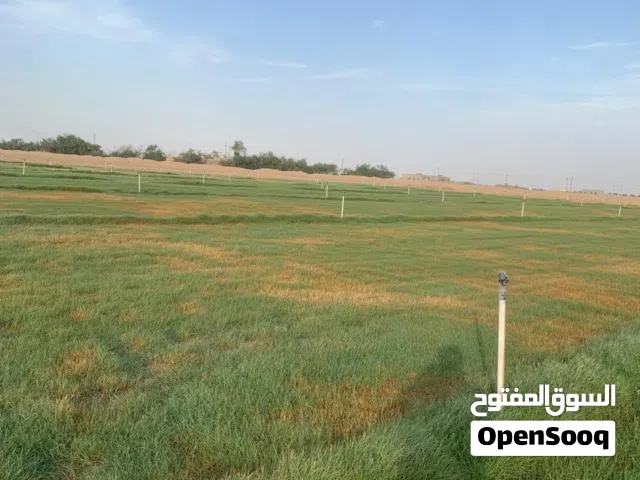 مزرعه للبيع
