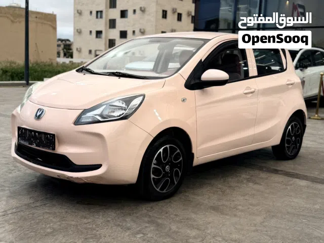 2022 شانجان E-ستار