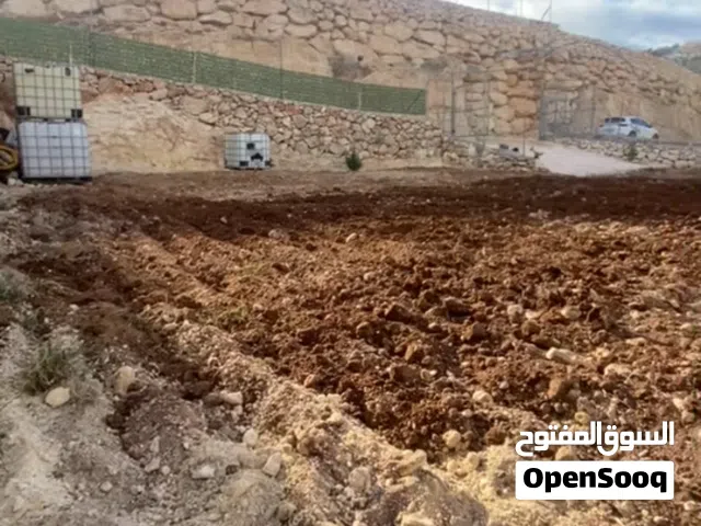 الخليل دورا كريسا