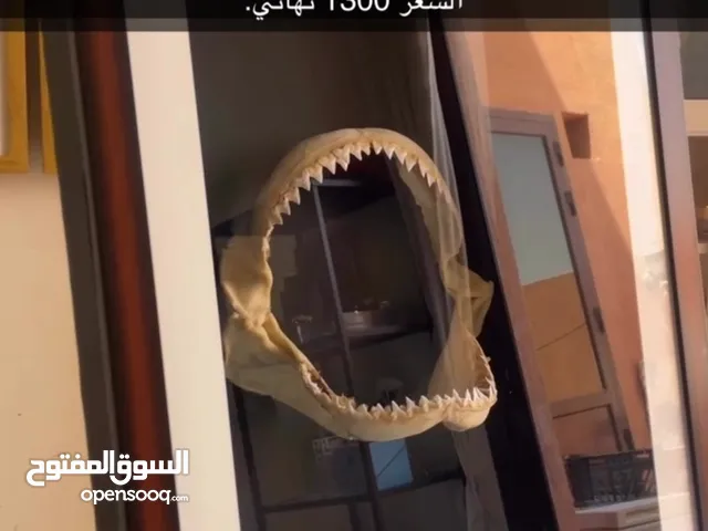 For sale, a distinctive frame for the shark jaw للبيع إطار فك المفترس مميز. الحجم الكبير.