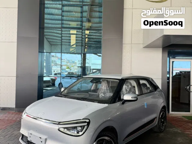 2025, Dongfeng, Nammi Box