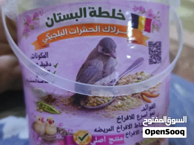طعام طيور