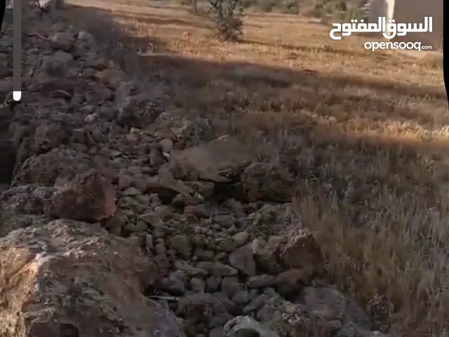 ارض للبيع في المفرق 5 دونم من المالك