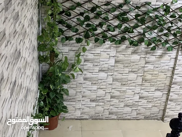 70 m2 1 Bedroom Apartments for Rent in Kuwait City Kaifan