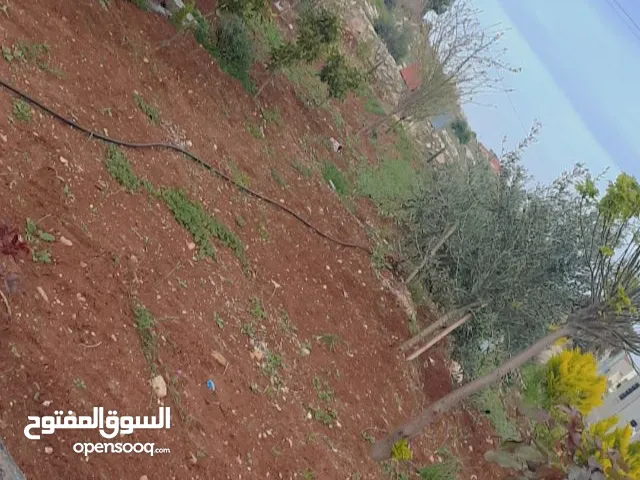 مزرعه للبيع في النعيمه العصاره الشماليه مساحه دونم و متر 30 قطعه رقم 321 السعررر. 32000 الف دينارر