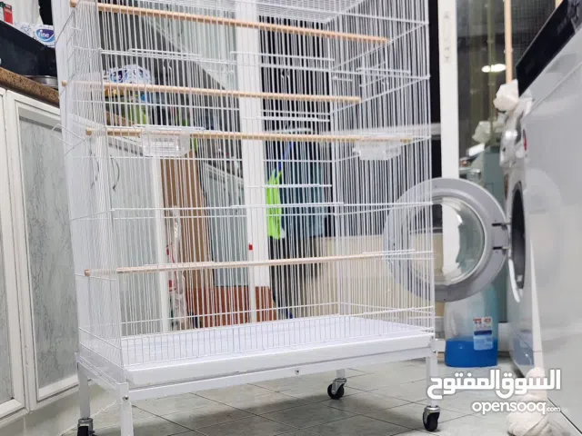 New big bird cage