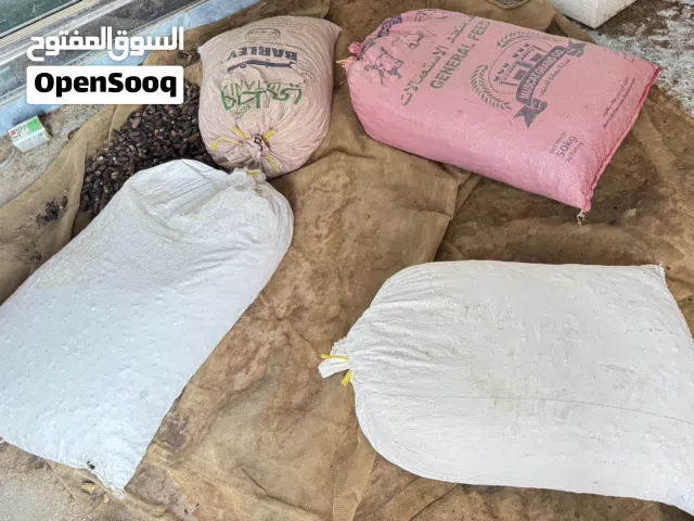 تمر نفيعه للبيع